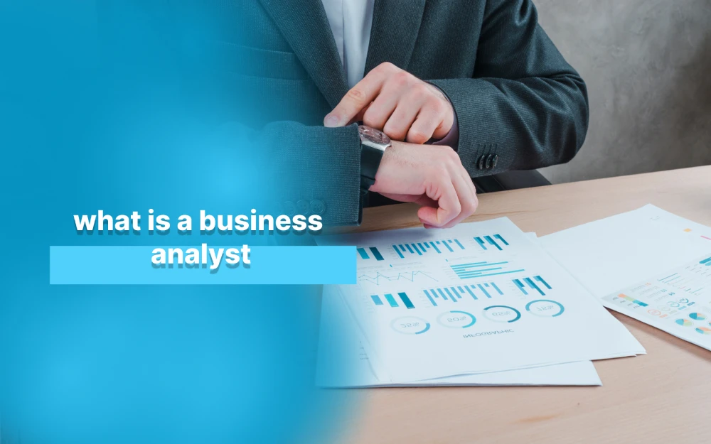 Business Analyst